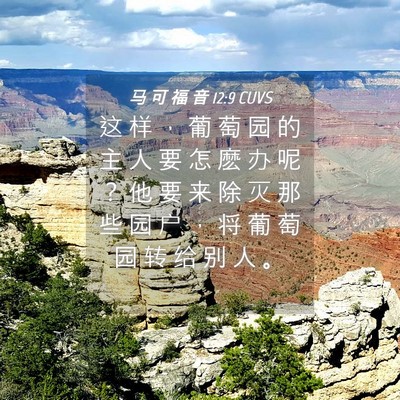 Picture 04 - 马 可 福 音 12:9 CUVS - 这 样 ， 葡 萄 园 的 主 人 要 怎 麽 - Bible Verse Picture