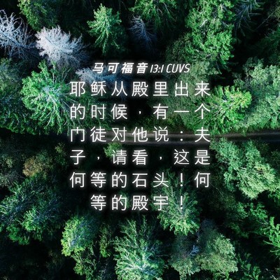 Picture 04 - 马 可 福 音 13:1 CUVS - 耶 稣 从 殿 里 出 来 的 时 候 ， 有 - Bible Verse Picture