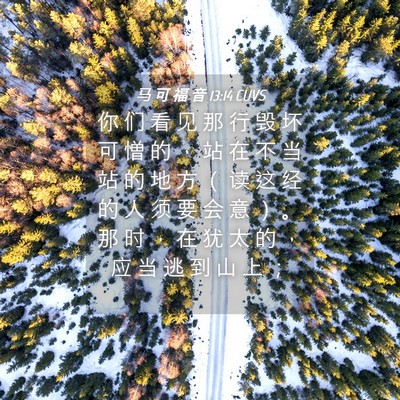 Picture 04 - 马 可 福 音 13:14 CUVS - 你 们 看 见 那 行 毁 坏 可 憎 的 ， - Bible Verse Picture