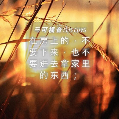 Picture 04 - 马 可 福 音 13:15 CUVS - 在 房 上 的 ， 不 要 下 来 ， 也 不 - Bible Verse Picture