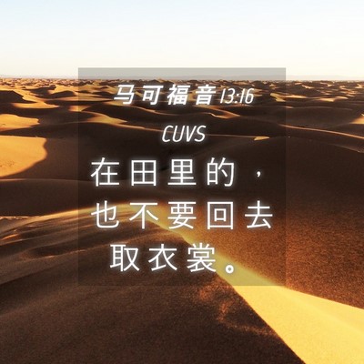 Picture 04 - 马 可 福 音 13:16 CUVS - 在 田 里 的 ， 也 不 要 回 去 取 衣 - Bible Verse Picture