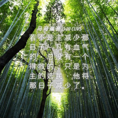Picture 04 - 马 可 福 音 13:20 CUVS - 若 不 是 主 减 少 那 日 子 ， 凡 有 - Bible Verse Picture