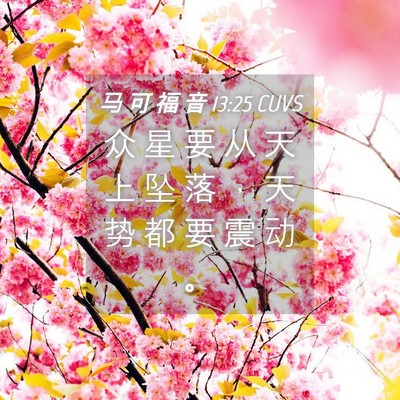 Picture 04 - 马 可 福 音 13:25 CUVS - 众 星 要 从 天 上 坠 落 ， 天 势 都 - Bible Verse Picture