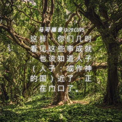 Picture 04 - 马 可 福 音 13:29 CUVS - 这 样 ， 你 们 几 时 看 见 这 些 事 - Bible Verse Picture