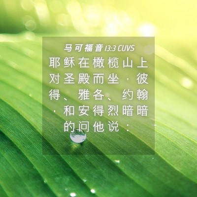 Picture 04 - 马 可 福 音 13:3 CUVS - 耶 稣 在 橄 榄 山 上 对 圣 殿 而 坐 - Bible Verse Picture