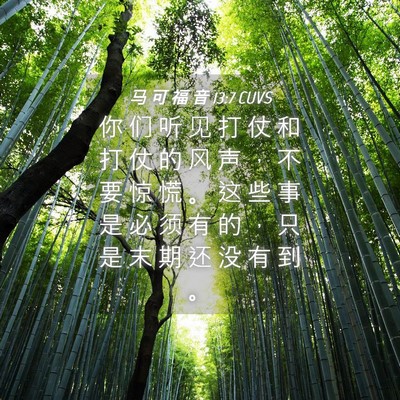 Picture 04 - 马 可 福 音 13:7 CUVS - 你 们 听 见 打 仗 和 打 仗 的 风 声 - Bible Verse Picture