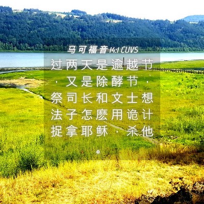 Picture 04 - 马 可 福 音 14:1 CUVS - 过 两 天 是 逾 越 节 ， 又 是 除 酵 - Bible Verse Picture