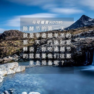 Picture 04 - 马 可 福 音 14:12 CUVS - 除 酵 节 的 第 一 天 ， 就 是 宰 逾 - Bible Verse Picture