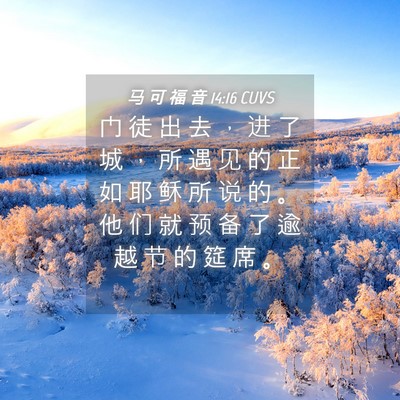 Picture 04 - 马 可 福 音 14:16 CUVS - 门 徒 出 去 ， 进 了 城 ， 所 遇 见 - Bible Verse Picture
