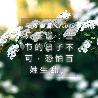 Picture 04 - 马 可 福 音 14:2 CUVS - 只 是 说 ： 当 节 的 日 子 不 可 ， - Bible Verse Picture