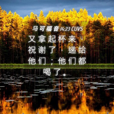 Picture 04 - 马 可 福 音 14:23 CUVS - 又 拿 起 杯 来 ， 祝 谢 了 ， 递 给 - Bible Verse Picture