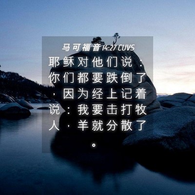 Picture 04 - 马 可 福 音 14:27 CUVS - 耶 稣 对 他 们 说 ： 你 们 都 要 跌 - Bible Verse Picture