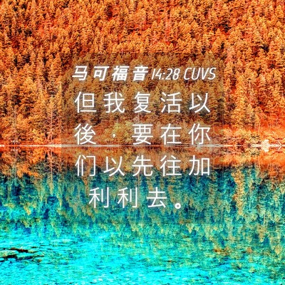 Picture 04 - 马 可 福 音 14:28 CUVS - 但 我 复 活 以 後 ， 要 在 你 们 以 - Bible Verse Picture