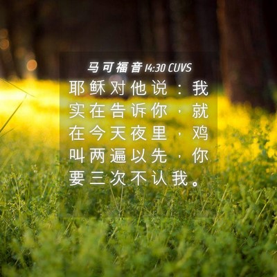 Picture 04 - 马 可 福 音 14:30 CUVS - 耶 稣 对 他 说 ： 我 实 在 告 诉 你 - Bible Verse Picture