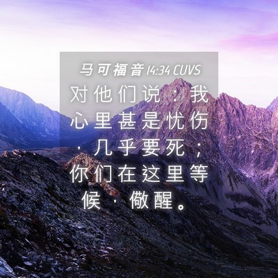 Picture 04 - 马 可 福 音 14:34 CUVS - 对 他 们 说 ： 我 心 里 甚 是 忧 伤 - Bible Verse Picture