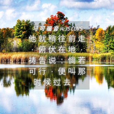 Picture 04 - 马 可 福 音 14:35 CUVS - 他 就 稍 往 前 走 ， 俯 伏 在 地 ， - Bible Verse Picture