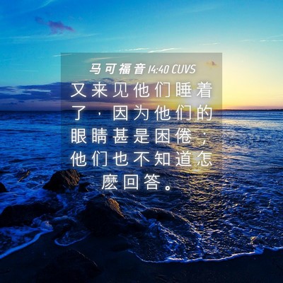 Picture 04 - 马 可 福 音 14:40 CUVS - 又 来 见 他 们 睡 着 了 ， 因 为 他 - Bible Verse Picture