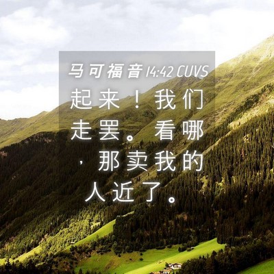 Picture 04 - 马 可 福 音 14:42 CUVS - 起 来 ！ 我 们 走 罢 。 看 哪 ， 那 - Bible Verse Picture
