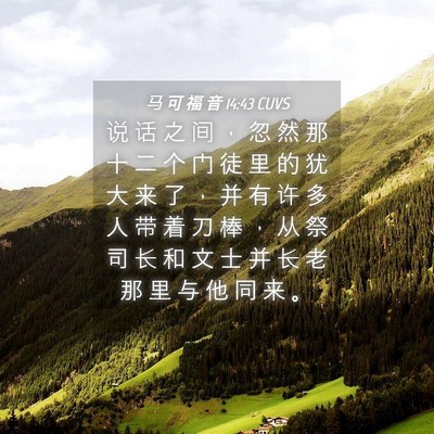 Picture 04 - 马 可 福 音 14:43 CUVS - 说 话 之 间 ， 忽 然 那 十 二 个 门 - Bible Verse Picture