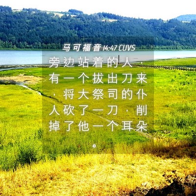 Picture 04 - 马 可 福 音 14:47 CUVS - 旁 边 站 着 的 人 ， 有 一 个 拔 出 - Bible Verse Picture