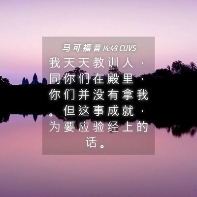 Picture 04 - 马 可 福 音 14:49 CUVS - 我 天 天 教 训 人 ， 同 你 们 在 殿 - Bible Verse Picture