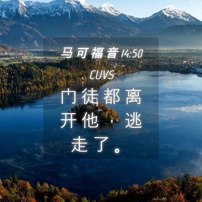 Picture 04 - 马 可 福 音 14:50 CUVS - 门 徒 都 离 开 他 ， 逃 走 了 - Bible Verse Picture
