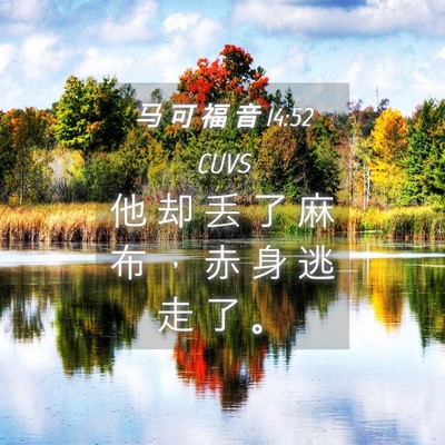 Picture 04 - 马 可 福 音 14:52 CUVS - 他 却 丢 了 麻 布 ， 赤 身 逃 走 了 - Bible Verse Picture