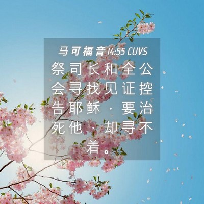 Picture 04 - 马 可 福 音 14:55 CUVS - 祭 司 长 和 全 公 会 寻 找 见 证 控 - Bible Verse Picture