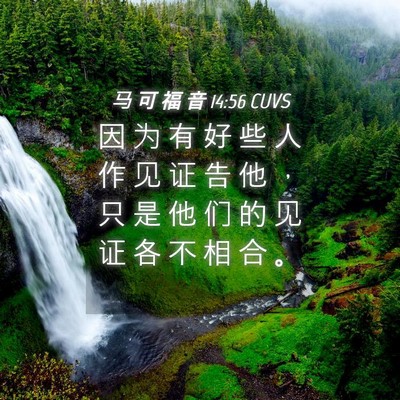 Picture 04 - 马 可 福 音 14:56 CUVS - 因 为 有 好 些 人 作 见 证 告 他 ， - Bible Verse Picture