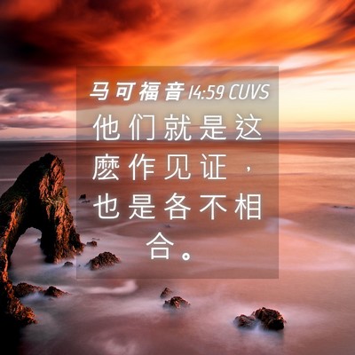 Picture 04 - 马 可 福 音 14:59 CUVS - 他 们 就 是 这 麽 作 见 证 ， 也 是 - Bible Verse Picture