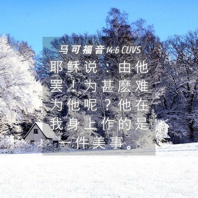 Picture 04 - 马 可 福 音 14:6 CUVS - 耶 稣 说 ： 由 他 罢 ！ 为 甚 麽 难 - Bible Verse Picture