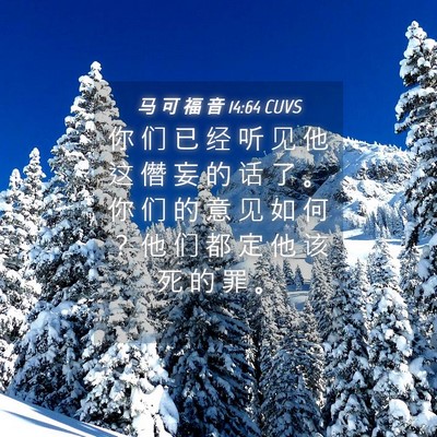 Picture 04 - 马 可 福 音 14:64 CUVS - 你 们 已 经 听 见 他 这 僭 妄 的 话 - Bible Verse Picture