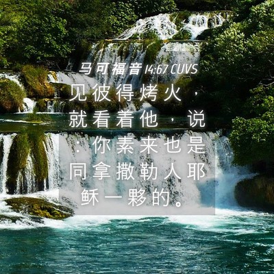 Picture 04 - 马 可 福 音 14:67 CUVS - 见 彼 得 烤 火 ， 就 看 着 他 ， 说 - Bible Verse Picture