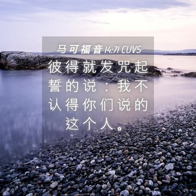 Picture 04 - 马 可 福 音 14:71 CUVS - 彼 得 就 发 咒 起 誓 的 说 ： 我 不 - Bible Verse Picture