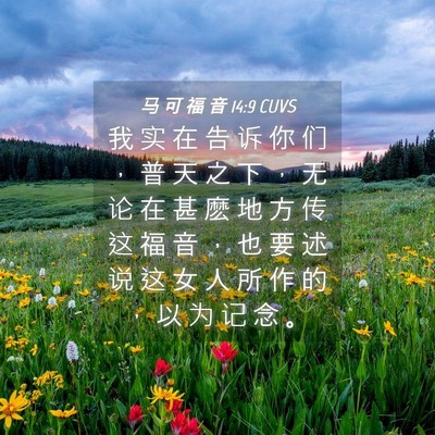 Picture 04 - 马 可 福 音 14:9 CUVS - 我 实 在 告 诉 你 们 ， 普 天 之 下 - Bible Verse Picture