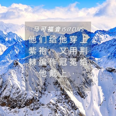 Picture 04 - 马 可 福 音 15:17 CUVS - 他 们 给 他 穿 上 紫 袍 ， 又 用 荆 - Bible Verse Picture