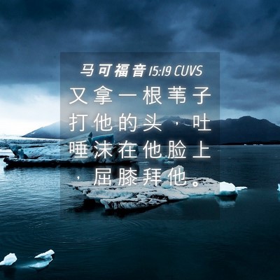 Picture 04 - 马 可 福 音 15:19 CUVS - 又 拿 一 根 苇 子 打 他 的 头 ， 吐 - Bible Verse Picture
