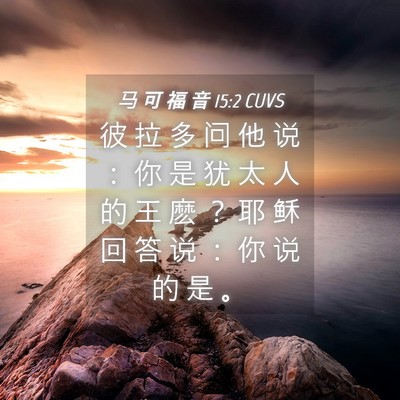 Picture 04 - 马 可 福 音 15:2 CUVS - 彼 拉 多 问 他 说 ： 你 是 犹 太 人 - Bible Verse Picture