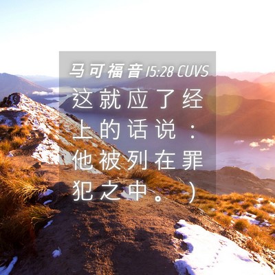 Picture 04 - 马 可 福 音 15:28 CUVS - 这 就 应 了 经 上 的 话 说 ： 他 被 - Bible Verse Picture