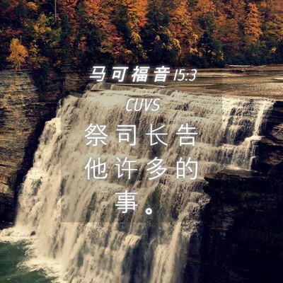 Picture 04 - 马 可 福 音 15:3 CUVS - 祭 司 长 告 他 许 多 的 事 - Bible Verse Picture