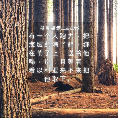Picture 04 - 马 可 福 音 15:36 CUVS - 有 一 个 人 跑 去 ， 把 海 绒 蘸 满 - Bible Verse Picture