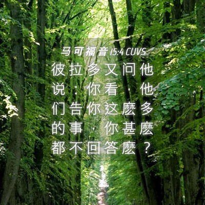 Picture 04 - 马 可 福 音 15:4 CUVS - 彼 拉 多 又 问 他 说 ： 你 看 ， 他 - Bible Verse Picture