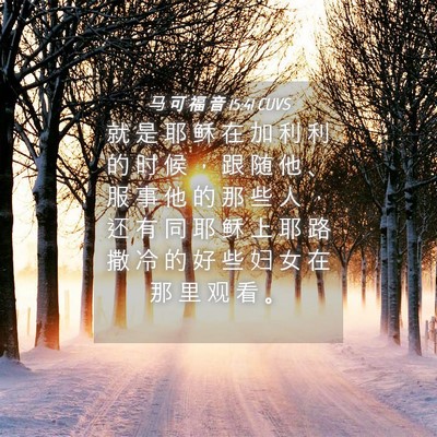 Picture 04 - 马 可 福 音 15:41 CUVS - 就 是 耶 稣 在 加 利 利 的 时 候 ， - Bible Verse Picture