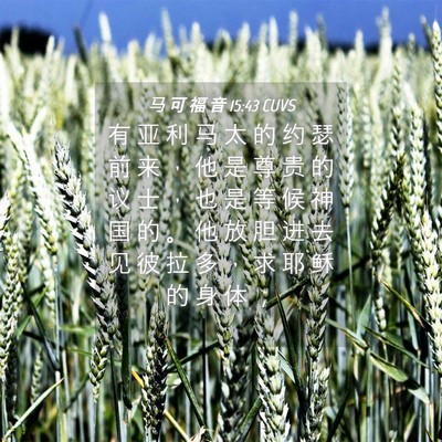 Picture 04 - 马 可 福 音 15:43 CUVS - 有 亚 利 马 太 的 约 瑟 前 来 ， 他 - Bible Verse Picture