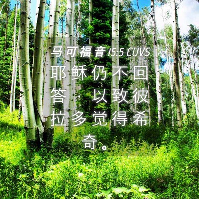 Picture 04 - 马 可 福 音 15:5 CUVS - 耶 稣 仍 不 回 答 ， 以 致 彼 拉 多 - Bible Verse Picture