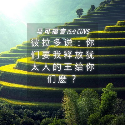 Picture 04 - 马 可 福 音 15:9 CUVS - 彼 拉 多 说 ： 你 们 要 我 释 放 犹 - Bible Verse Picture