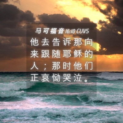 Picture 04 - 马 可 福 音 16:10 CUVS - 他 去 告 诉 那 向 来 跟 随 耶 稣 的 - Bible Verse Picture