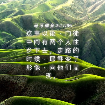Picture 04 - 马 可 福 音 16:12 CUVS - 这 事 以 後 ， 门 徒 中 间 有 两 个 - Bible Verse Picture