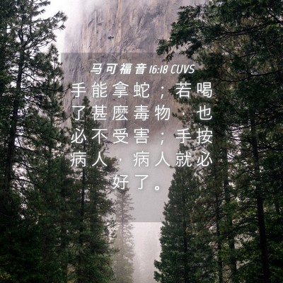 Picture 04 - 马 可 福 音 16:18 CUVS - 手 能 拿 蛇 ； 若 喝 了 甚 麽 毒 物 - Bible Verse Picture