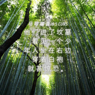 Picture 04 - 马 可 福 音 16:5 CUVS - 他 们 进 了 坟 墓 ， 看 见 一 个 少 - Bible Verse Picture